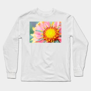 Firewheel (Gaillardia pulchella) (B760/1741) Long Sleeve T-Shirt